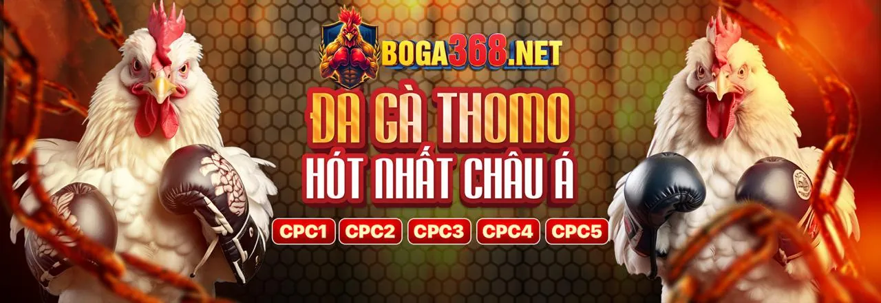 Hoàn trả hàng ngày và hàng tuần 6ff18