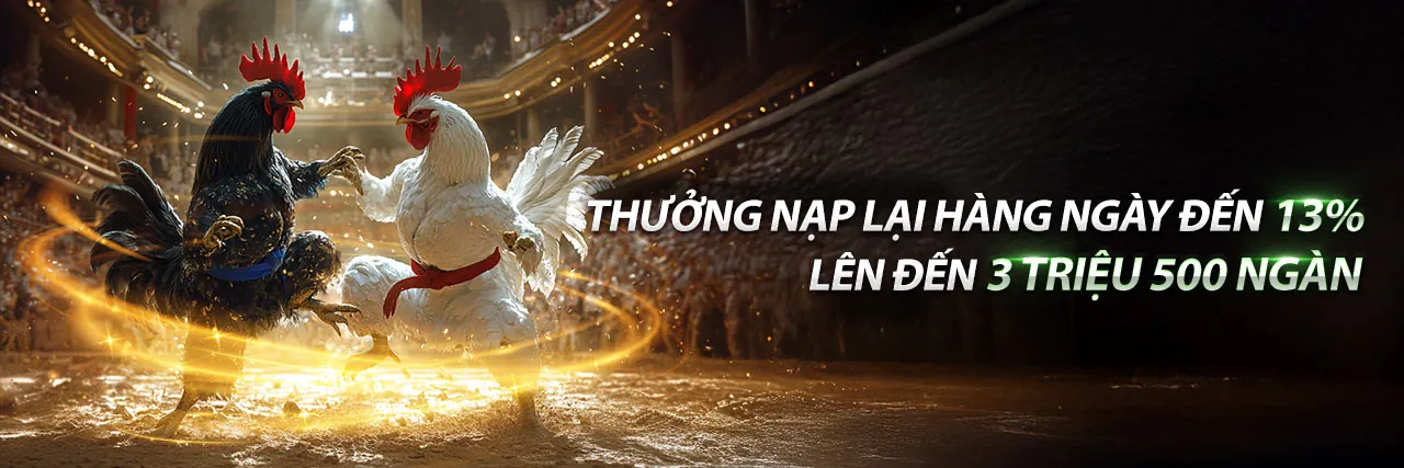 Đá Gà Trực Tuyến 6ff18